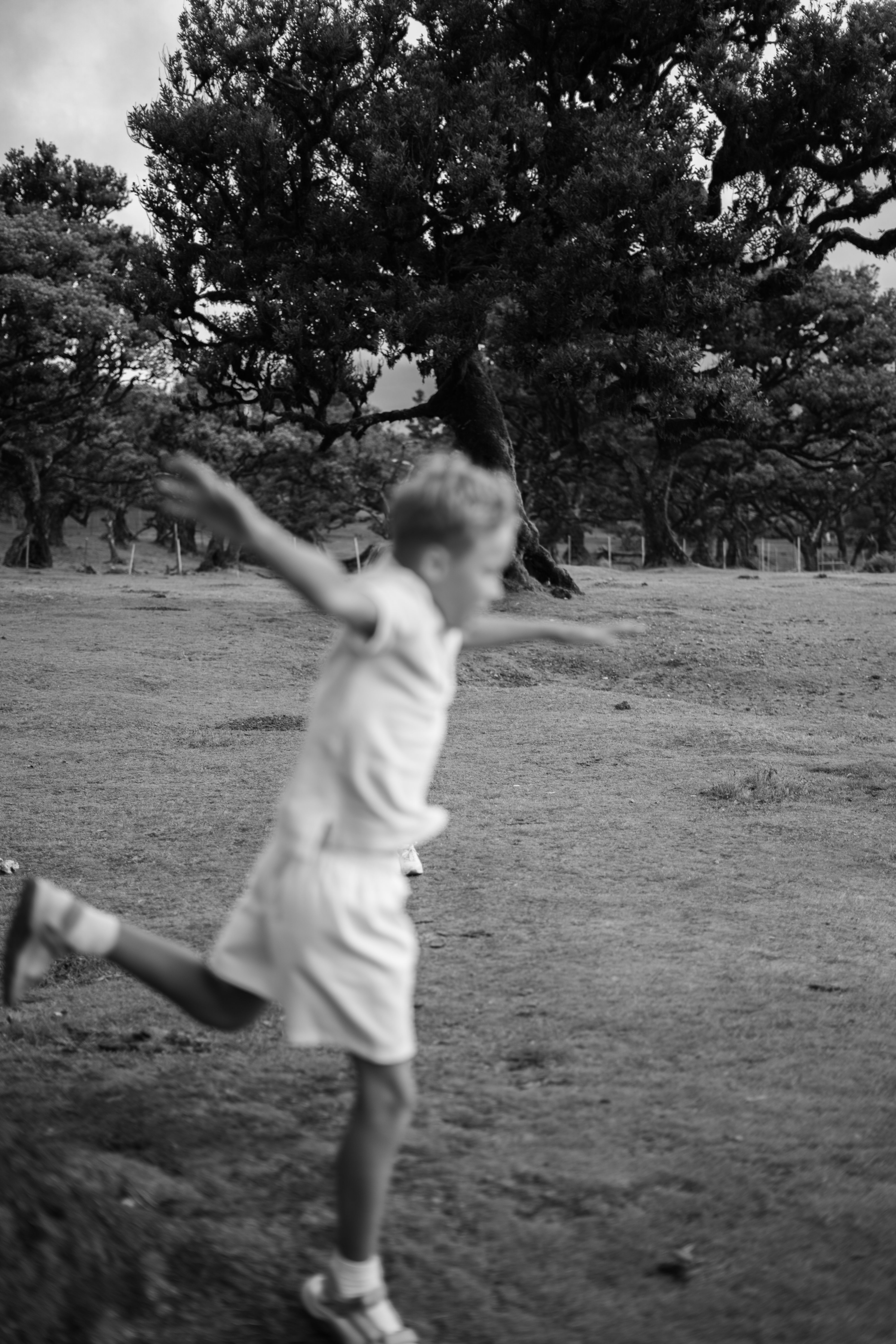 Child running with arms outstretched beneath old trees